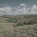 Landscape of Haharu District-East Sumba Island Savannah