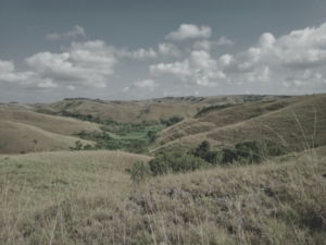 Landscape of Haharu District-East Sumba Island Savannah